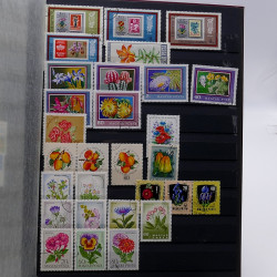 Lot de timbres France et Monde à trier en un boite.