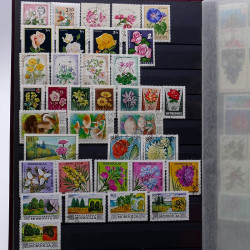 Lot de timbres France et Monde à trier en un boite.