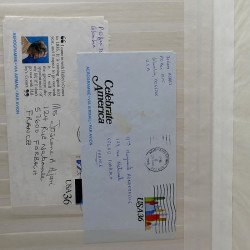 Lot de timbres France et Monde à trier dans une caisse en bois.