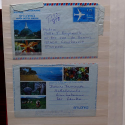 Lot de timbres France et Monde à trier dans une caisse en bois.