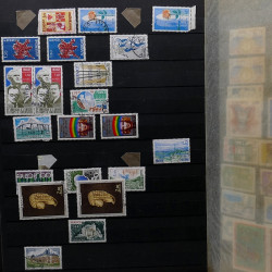 Lot de timbres France et Monde à trier dans une caisse en bois.