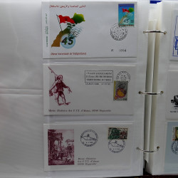 Vrac de timbres France et Monde neufs et oblitérés en un carton.