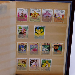 Lot de timbres France et Monde à trier en un carton.