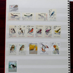Lot de timbres France et Monde à trier en un carton.