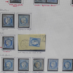 Lot de timbres de France 1849-1903 neufs et oblitérés en un album.