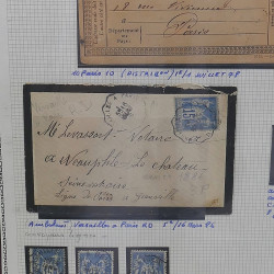 Lot de timbres de France 1849-1903 neufs et oblitérés en un album.
