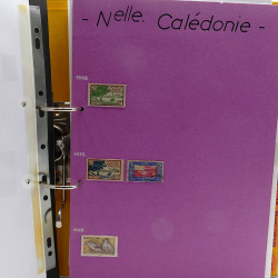 Lot de timbres France et Monde à trier en un carton.