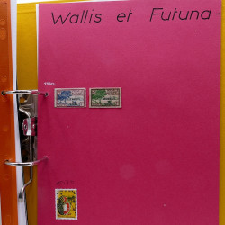 Lot de timbres France et Monde à trier en un carton.