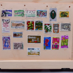 Lot de timbres France et Monde à trier en un carton.