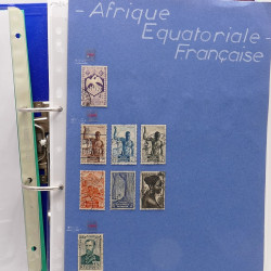 Lot de timbres France et Monde à trier en un carton.