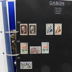Lot de timbres France et Monde à trier en un carton.