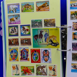 Lot de timbres France et Monde à trier en un carton.
