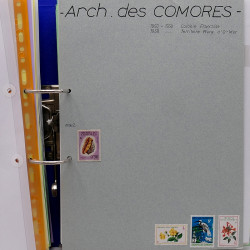 Lot de timbres France et Monde à trier en un carton.