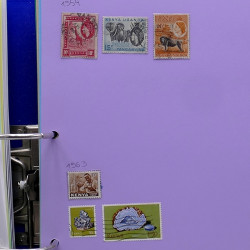 Lot de timbres France et Monde à trier en un carton.
