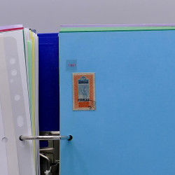 Lot de timbres France et Monde à trier en un carton.