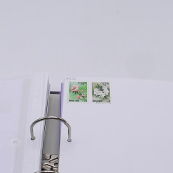 Lot massif de timbres France et Monde à trier en un carton.