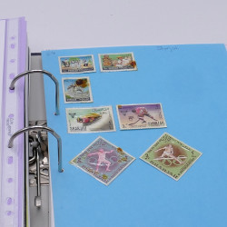 Lot massif de timbres France et Monde à trier en un carton.