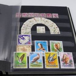Lot massif de timbres France et Monde à trier en un carton.