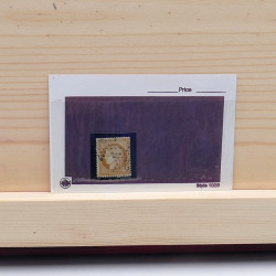 Lot massif de timbres France et Monde à trier en un carton.