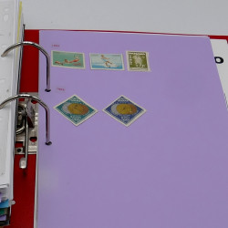 Lot massif de timbres France et Monde à trier en un carton.