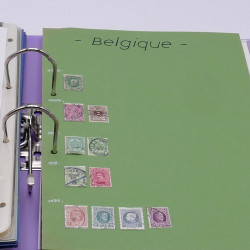 Lot massif de timbres France et Monde à trier en un carton.