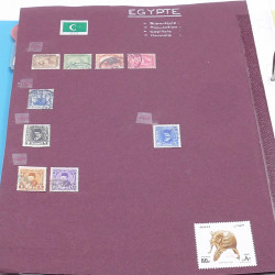 Lot de timbres France et Monde à trier en un carton.