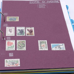 Lot de timbres France et Monde à trier en un carton.