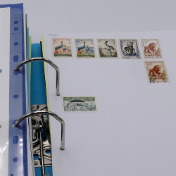 Lot de timbres France et Monde à trier en un carton.