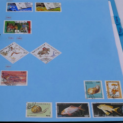 Lot de timbres France et Monde à trier en un carton.