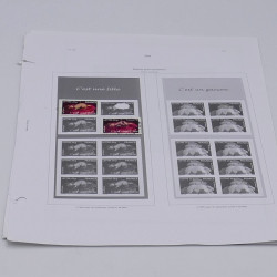 Lot de timbres France et Monde à trier en un carton.