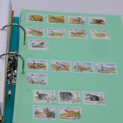 Lot massif de timbres France et Monde à trier en un carton.