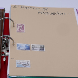 Lot massif de timbres France et Monde à trier en un carton.