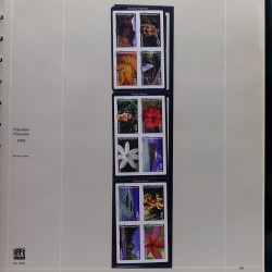 Collection timbres de Polynésie Française 1958-2024 neufs en 4 albums.