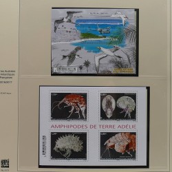 Collection timbres T.A.A.F. 2015-2025 neufs en deux albums.