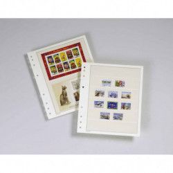 Feuilles neutres Moc à 2 bandes pour blocs, carnet de timbres.