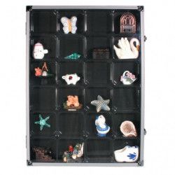 Vitrine en aluminium avec 24 cases pour objets de collection.