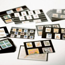 Cartes de classement à 5 bandes PVC pour timbres, 210 X 148 mm.