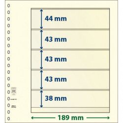 Feuilles neutres Lindner dT recto-verso à 5 bandes pour timbres.