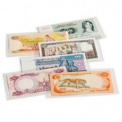 Pochettes de protection pour billets de banque 204 x 123 mm.