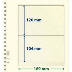 Feuille neutre Lindner-T à 2 bandes. (802 202)