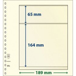 Feuille neutre Lindner-T à 2 bandes. (802 203)