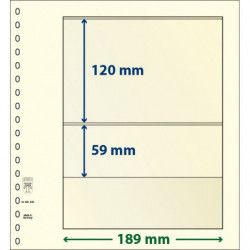 Feuille neutre Lindner-T à 2 bandes. (802 206)