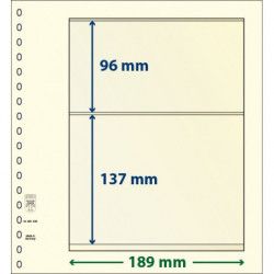 Feuille neutre Lindner-T à 2 bandes. (802 209)