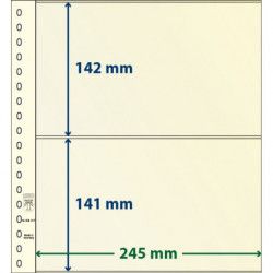 Feuille neutre Lindner-T à 2 bandes. (802 217)