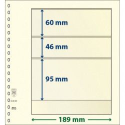 Feuille neutre Lindner-T à 3 bandes. (802 302)