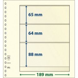 Feuille neutre Lindner-T à 3 bandes. (802 304)