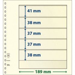 Feuille neutre Lindner-T à 5 bandes. (802 501)