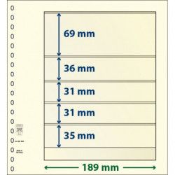 Feuille neutre Lindner-T à 5 bandes. (802 506)