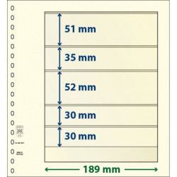 Feuille neutre Lindner-T à 5 bandes. (802 507)