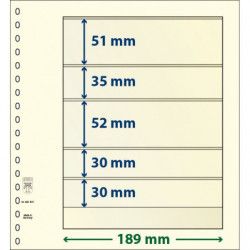 Feuille neutre Lindner-T à 5 bandes. (802 507)